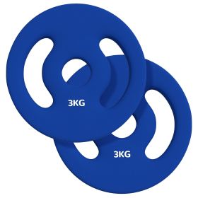 2 x 6.6lbs Standard Weight Plates with Easy-Grip Handles, 1" Holes, for Home, Gym, Weight Lifting and Strength Training